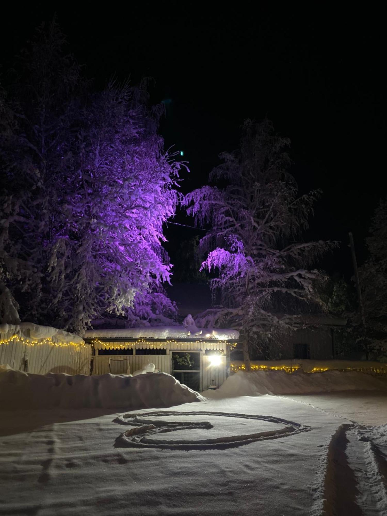 Villa Shaman Rovaniemi Extérieur photo