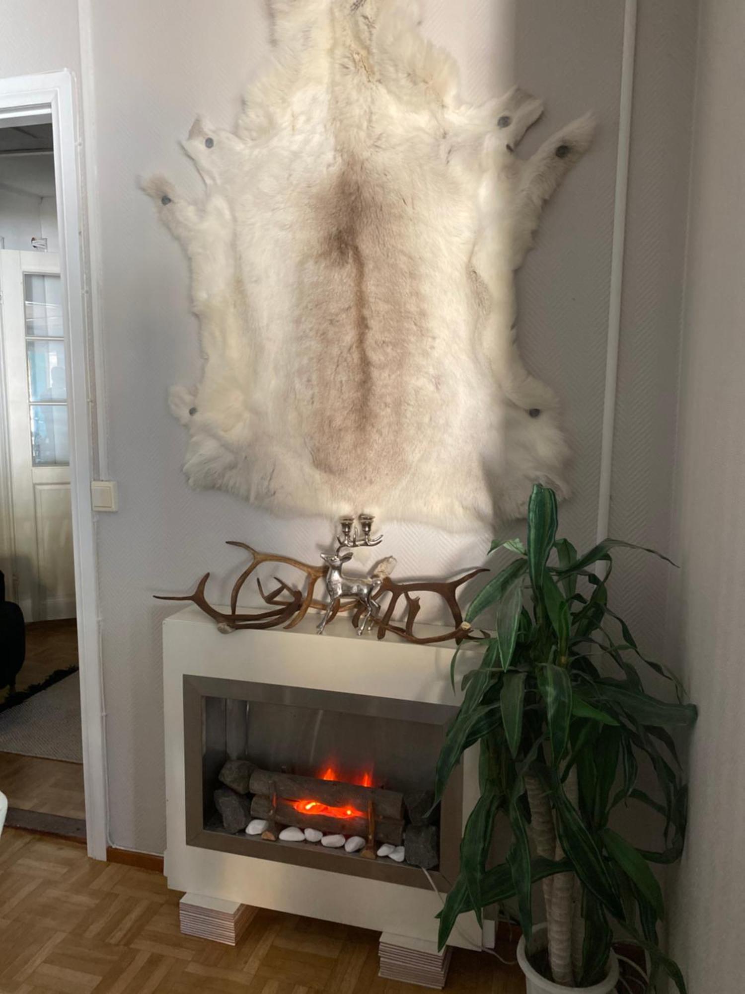 Villa Shaman Rovaniemi Extérieur photo